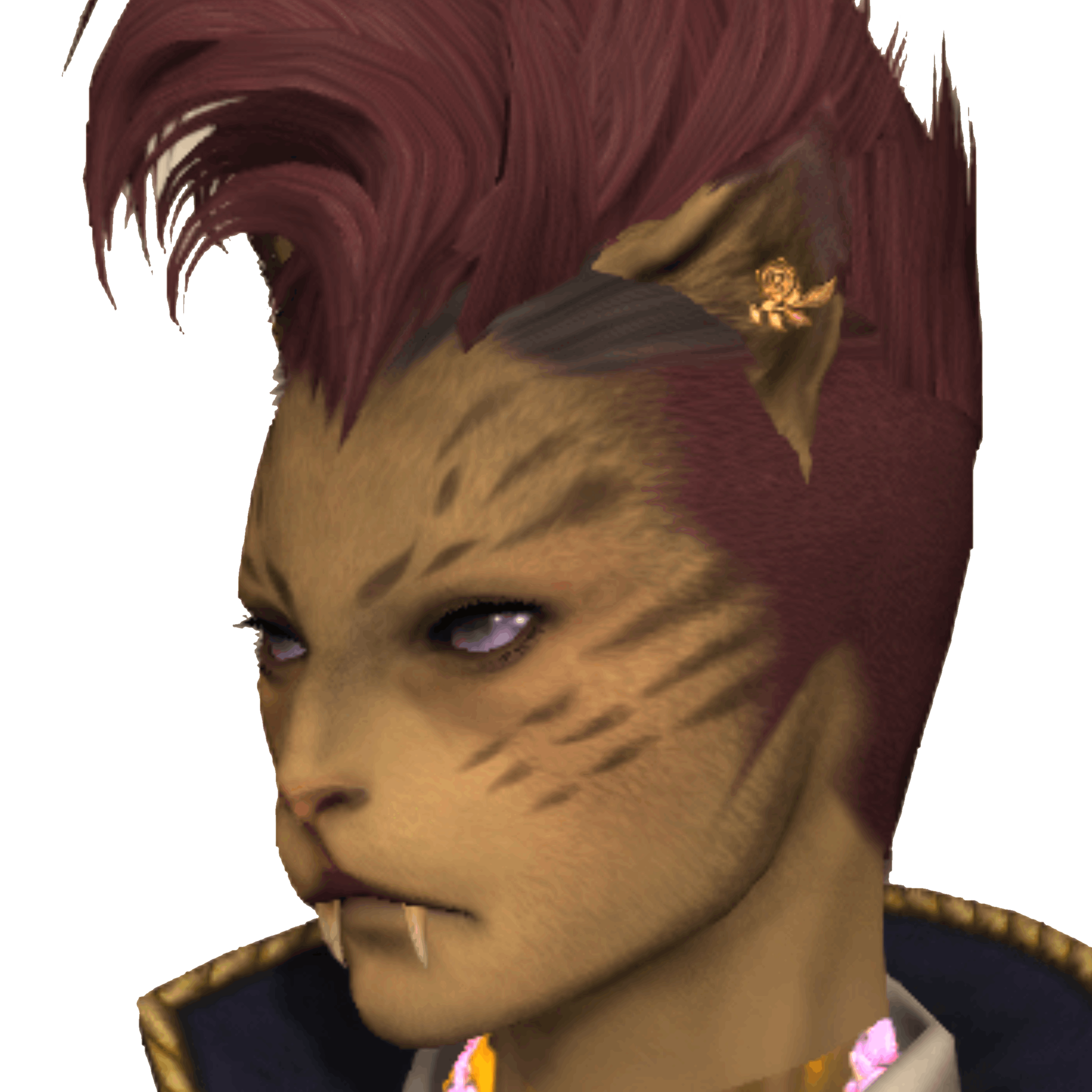 Votya